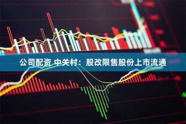 公司配资 中关村：股改限售股份上市流通