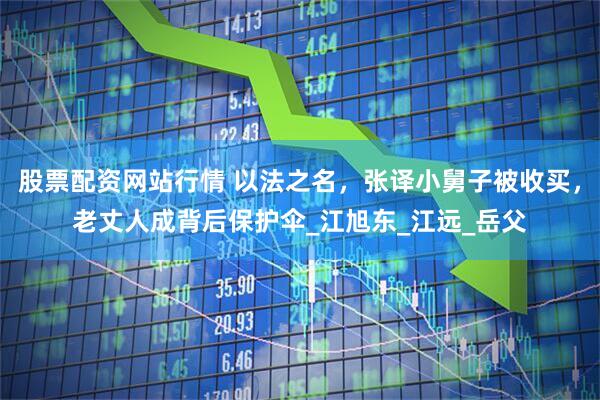 股票配资网站行情 以法之名，张译小舅子被收买，老丈人成背后保护伞_江旭东_江远_岳父