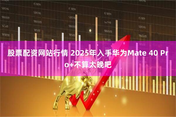 股票配资网站行情 2025年入手华为Mate 40 Pro+不算太晚吧